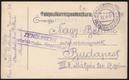 1917 Tábori Posta LevelezÅ‘lap / Field Postcard 'Kriegsspital Sternthal B. Pettau' + 'Zensuriert... - Sonstige & Ohne Zuordnung