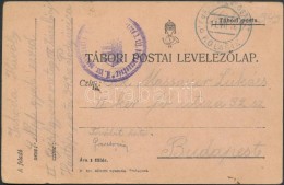 1916 Tábori Posta LevelezÅ‘lap / Field Postcard 'M. Kir. Nagyváradi 4. (népfelkelÅ‘... - Other & Unclassified