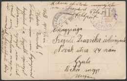 1915 Képeslap Haditengerészeti Postával / Navy Mail Postcard 'SMS LEOPARD' - Other & Unclassified
