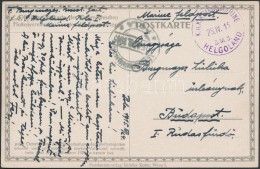 1915 Tábori Képeslap / Field Postcard 'SMS HELGOLAND' + 'MFP POLA' - Other & Unclassified