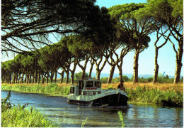 Thème - Transport - Canal Du Midi - Péniche Eveque - Houseboats