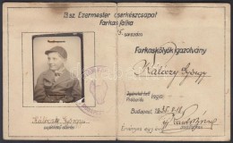 1935 A 13. Sz. Ezermester Farkasfalka Cserkészcsapat Fényképes 'farkaskölyök'... - Scouting