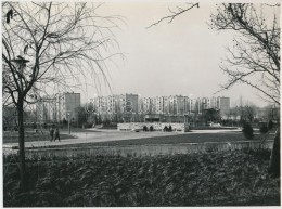 Cca 1968 Székesfehérvár, Szeder Utcai Lakótelep, Vintage Fotó,  A Fejér... - Other & Unclassified