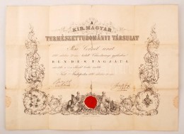 1880 A Magyar Természettudományi Társulat Oklevele Piso Kornél (1848-?)... - Unclassified
