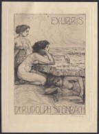 Bruno Héroux (1868-1944): Ex Libris Rudolph Steinbach. Rézkarc, Papír, Jelzett A Karcon,... - Other & Unclassified