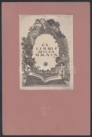 Gara Arnold (1882-1929):: Ex Libris Rosa Braun. Erotikus. Rézkarc, Papír.. Jelzett. / Ex Libris.... - Other & Unclassified