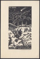 Antonín DoleÅ¾al (1900-1968): Ex Libris DoleÅ¾al. Fametszet, Papír, Jelzett,  11×6 Cm - Other & Unclassified