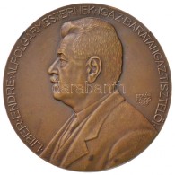 Berán Lajos (1882-1943) 1932. 'Liber Endre Alpolgármesternek' Br Emlékérem. 'LIBER... - Non Classés