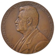 Berán Lajos (1882-1943) 1932. 'Liber Endre Alpolgármesternek' Br Emlékérem. 'LIBER... - Unclassified