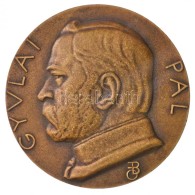 Beck Ötvös Fülöp (1873-1945) 1931. 'Gyulai Pál' Br Emlékérem. 'GYULAI... - Non Classés