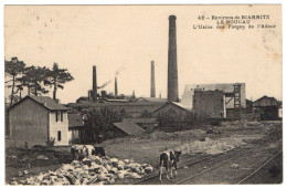 LE BOUCAU - 64 - Usine Des Forges De L'Adour - Vaches - Boucau