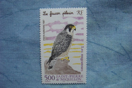3-989 Faucon Pelerin Falco Oiseau Migrateur Bec Crochu  Saint Pierre Et Miquelon Albuisson - Aigles & Rapaces Diurnes