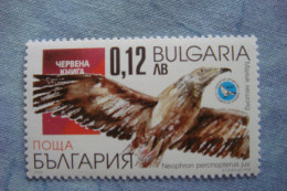 3-994 2001 Rapace Aigle Protection Oiseau Bird Neophron Percecnopterus Juvénil Adulte Oeuf Oisillon - Aigles & Rapaces Diurnes