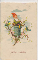 BAUMGARTEN, MUSICIAN ELF WITH FLUTE, BIRD, BLUE TIT,  VF Cond.  PC, Used 1935 - Baumgarten, F.