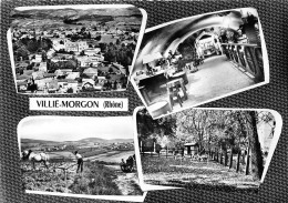 Villié Morgon Canton Beaujeu - Villie Morgon