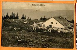 FAI-08  Ferme Le Soliat, Vaches, ANIME. Cachet Noiraigue 1909 .   Trou D'épingle. - Noiraigue 