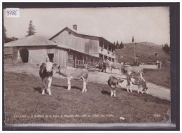 FORMAT 10x15 - DISTRICT D'ORBE /// CHALET ET SOMMET DE LA DENT DE VAULION - VACHES - TB - Vaulion