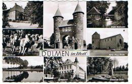 9  DULMEN  IM WESTF. MULTIVUES - Dülmen