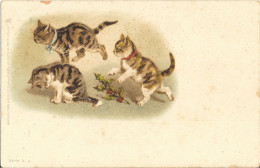 Carte Fantaisie Précurseur  Petit Chats  97 - Katten