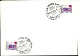 WATER BIRDS-GREATER WHITE FRONTED GOOSE- SPECIAL POSTMARK- ON COVER-ROMANIA-SCARCE-BX1-323 - Geese