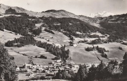 LES GETS  - Vue Générale Du Village ( Avec Tampon Association Au Dos ) - Les Gets