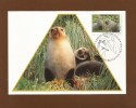 AAT 1993  Mi.Nr. 96 , Fur Seals - Maximum Card - First Day  14 January 1993 - Maximumkaarten