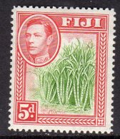 FIJI - 1938-1955 KGVI 5d 1940 DEFINITIVE GREEN CANES FINE LMM * SG 259 REF B - Fiji (...-1970)