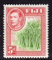 FIJI - 1938-1955 KGVI 5d 1940 DEFINITIVE GREEN CANES FINE LMM * SG 259 REF C - Fiji (...-1970)