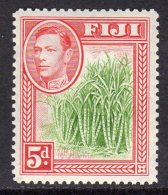 FIJI - 1938-1955 KGVI 5d 1940 DEFINITIVE GREEN CANES FINE MM * SG 259 REF C - Fiji (...-1970)