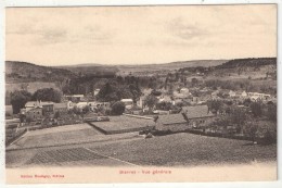 91 - BIEVRES - Vue Générale - Edition Montigny - Bievres