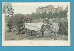 CPA 13 - Paysans Attelage Béarnais Boeufs Transport De Bois PAU 64 - Pau