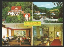 LANGELSHEIM Niedersachsen Lautenthal Goslar Hotel Pension Café BERGFRIEDEN 1987 - Langelsheim
