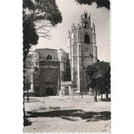 PLNCTPA128-LFTD4152.Tarjeta Postal DE PALENCIA.Edificios,arboles,torre,plaza Y CATEDRAL DE  PALENCIA - Palencia