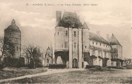 AUNEAU    Le Vieux Château (XIIIes) - Auneau