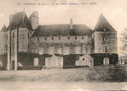 AUNEAU    Le Vieux Château (XIIIes) - Auneau