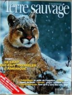 TERRE SAUVAGE N° 102 : Cougar - Antarctique - Maroc - Floride .  1996 - Animales