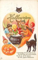 241517-Halloween, Stecher No 216 E, Witch Giving Out Good Luck Cards To Costumed People, Black Cats, Jack O Lantern - Halloween