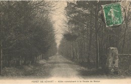 CPA-1910-91-SENART-FORET-ALLEE Conduisant A La Route De MELUN-TBE - Sénart