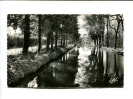 CP   SAINT VRAIN (91) LA ROUTE D ITTEVILLE ET LES BORDS DE LA JUINE - Saint Vrain