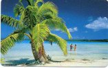 Plage Mer Palmier Arbre Carte Calendrier 1995 France Calendar - Autres & Non Classés