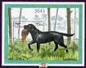 MINT NEVER HINGED SOUVNIR SHEET OF DOGS  #  074-3 ( BHUTAN   1262 - Honden