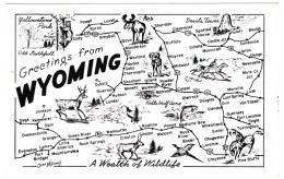 Map Of  Wyoming, Wildlife Images Deer Bear Moose Fish Bird, C1940s/50s Vintage Postcard - Otros & Sin Clasificación