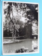 Delcampe - Herstellingsoord " HOF Ter MICK " Polygoon () Anno 1979 ( Zie/voir Foto Voor Details ) !! - Brasschaat