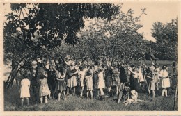 Ravels - O.L.Vrouw Van De Kempen - Open-lucht-school Voor Zwakke Meisjes - Aangename Verposing (sic) In De Fruithof - Ravels