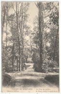 91 - PARC DE MEREVILLE - Le Pont De Service - Mulard 74 - 1904 - Mereville
