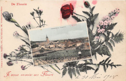 Fleurie Canton Beaujeu - Villie Morgon