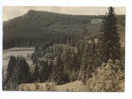 Oberhof I. Thür. Kanzlergrund Mit Waldhotel Und Hoher Stein - Oberhof