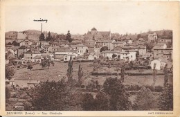 BELMONT - Vue Générale - Belmont De La Loire