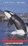 Télécarte Japon / 290-47045 - ANIMAL - BALEINE ORQUE - ORCA WHALE Japan Phonecard ** Série SEA PARADISE ** - 424 - Dolfijnen