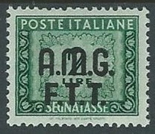 1947-49 TRIESTE A SEGNATASSE 2 LIRE MH * - G162 - Taxe